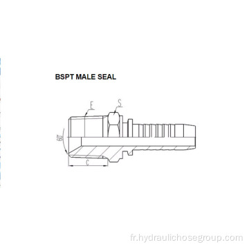 Joint mâle BSPT 13011-SP